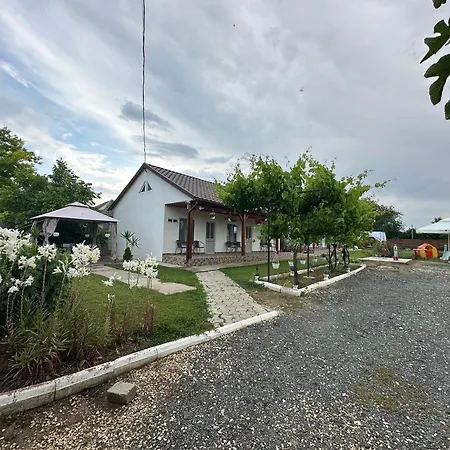 Accommodatie bij particulieren By The Sea