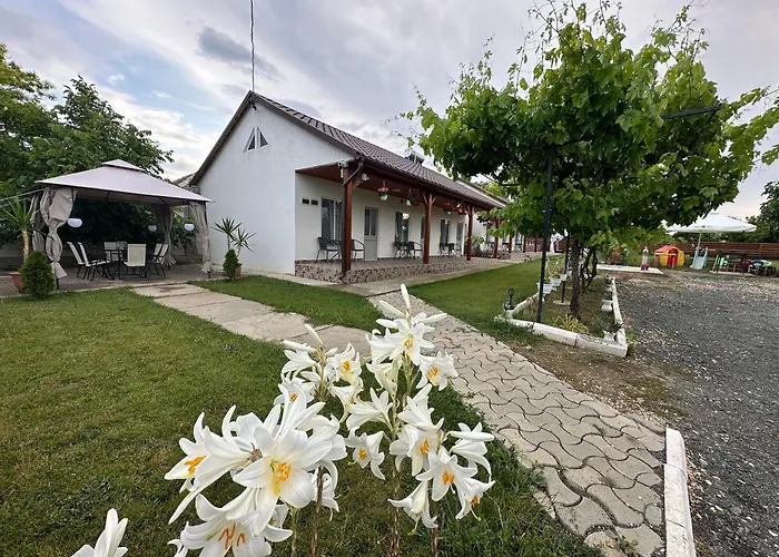 Accommodatie bij particulieren By The Sea *